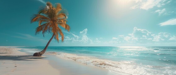 Obraz premium concept of relaxation on the ocean shore, white sand and palm leaves.
