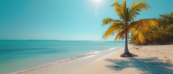 concept of relaxation on the ocean shore, white sand and palm leaves.