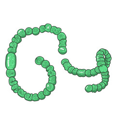 Anabaena or Dolichospermum: Filamentous Cyanobacteria in Aquatic Habitats. Uncover Their Intricate Cellular Structure, Crucial Role in Nitrogen Fixation, and Impact on Harmful Algal Blooms