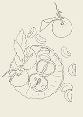 Иллюстрация без названия