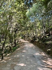 Fototapeta premium Parco di Santa Degna, Aggius, Sardegna, Italia.
