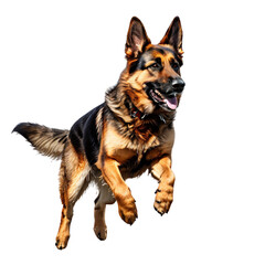AI art captures a German Shepherd leaping in mid-air, isolated on a transparent background