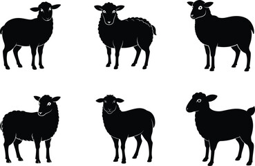 white and black sheep animals doodle