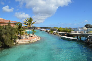 Curacao, curasao, playas, acuario, delfines