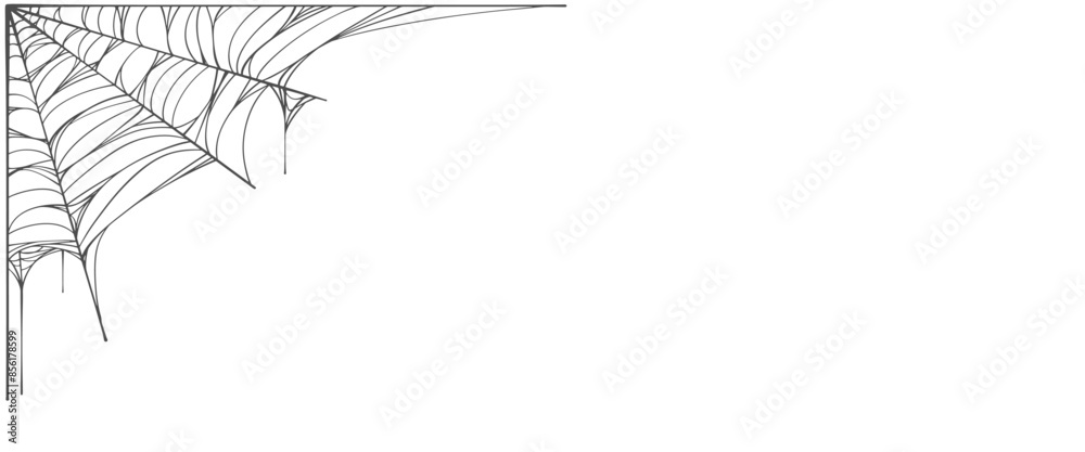 Wall mural background with cobweb, spider web line art vector eps