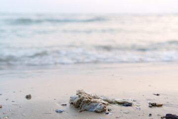 Plastic bag and sand inside on the beach in the evening, waste plastic and sea enviroment cencept.