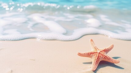 Starfish on the beach
