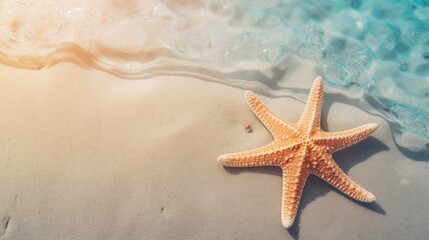 starfish on the sand
