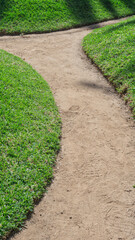 Path of Decision at the Grassy Crossroads