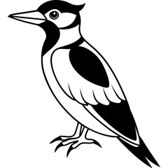 Woodpecker vector line art and silhouette illustration
