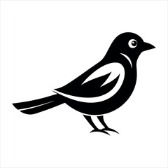 black bird silhouette vector illustration
