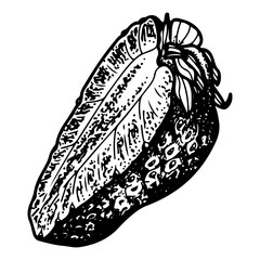 Strawberry sketch. Half of the cut berry. Ripe fruit. Healthy food. Sweet dessert. Farm product. Harvesting. Hand drawn vector line illustration.
