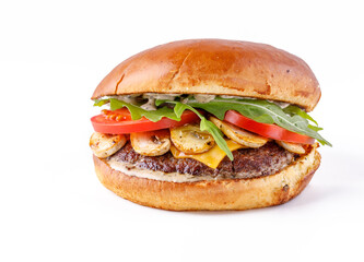 Close-up of burger against white background