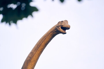 The brachiosaurus head was a sauropod dinosaur, one of the largest and most popular. He lived at the end of the Jurassic period. With space to copy. High quality photo © daryakomarova