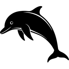 dolphin isolated on white