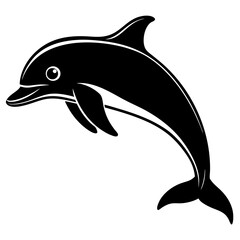 dolphin illustration