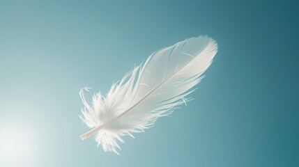 Naklejka premium Single white feather with a detailed structure, set against a clear blue sky with a sunburst effect near the bottom