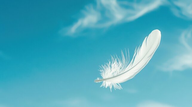 Single white feather with a detailed barb structure, set against a clear blue sky with a few wispy clouds