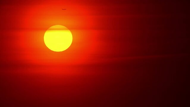 Cinematic sunset and airplane silhouette of jet plane business trip and transportation concept. Silhouette view of passenger plane flying at front of epic orange and red sunset sky.