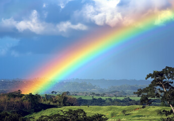 Obraz premium rainbow in the sky