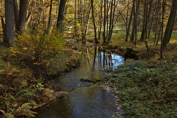 Hiking track in public park 