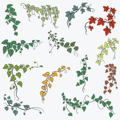 Floral ivy drawing decorative ornament flat design collection.