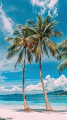 Naklejka premium Palm trees on beautiful tropical beach with blue sky with white clouds, copy space of summer vacation and business travel concept background