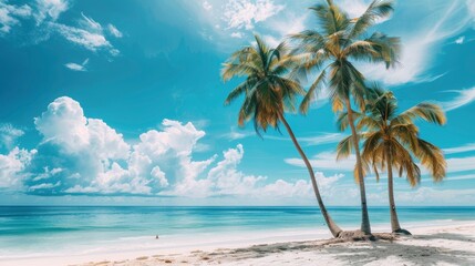 Fototapeta premium Palm trees on beautiful tropical beach with white sand, blue sky and white clouds, copy space of summer vacation and business travel concept