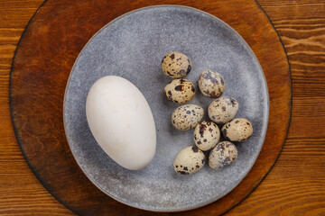 goose and quail eggs on a gray plate on a wooden stand comparison