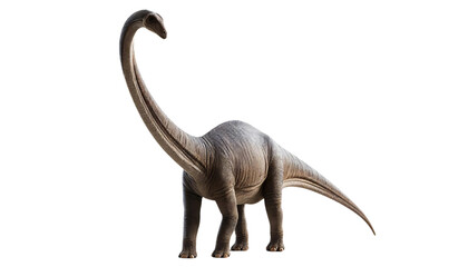 Obraz premium A realistic Brachiosaurus standing upright with its long neck extended on a transparent background