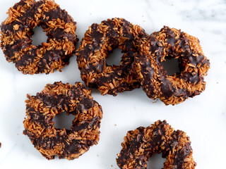 Girl Scout Cookies Samoa on Light Background