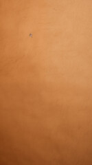 Fototapeta premium Kraft Paper, Abstract Image, Texture, Pattern Background, Wallpaper, Background, Cell Phone Cover and Screen, Smartphone, Computer, Laptop, Format 9:16 and 16:9 - PNG