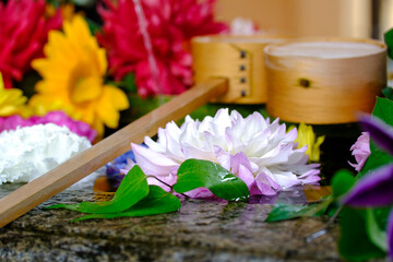 Fototapete bei efototapeten.de bestellen   