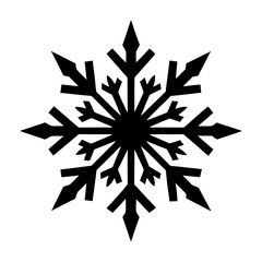 Detailed Snowflake With Elaborate Branches