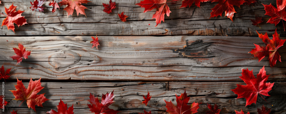 Canvas Prints canada day background with a rustic wooden texture and scattered maple leaves.