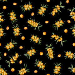 Black background with sea buckthorn.Vector pattern with sea buckthorn berries on a black background.