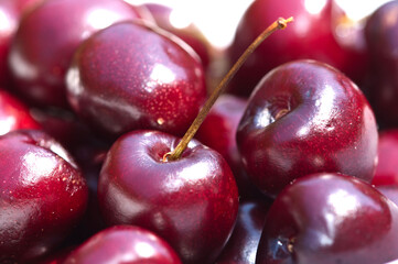 Extreme close-up of cherries.