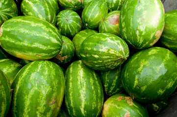 Watermelons at the farmers market