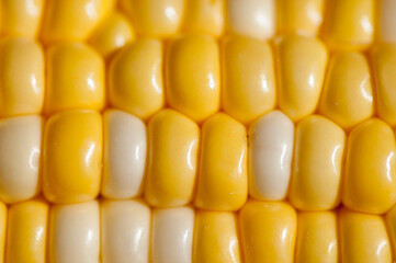 close-up of corn