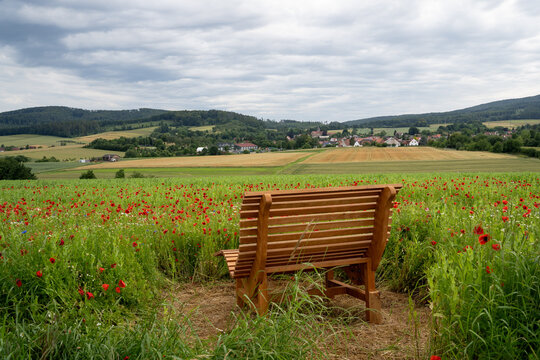 Mohnbl&uuml;te im GEO Naturpark Frau-Holle-Land (Hessen, Deutschland). Eine Bank im Mohnfeld mit Ausblick auf den Hohen Mei&szlig;ner (Berg in Hessen).