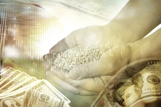 Global grain crisis. Farmer with wheat seeds, dollar bills, office building and graph, multiple exposure - Powered by Adobe