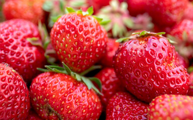 Strawberries from an organic farm, a natural product