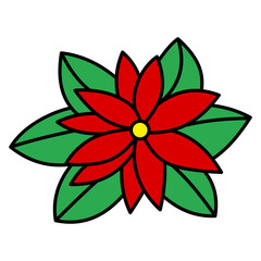 Poinsettia