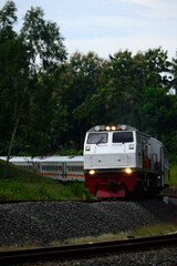 Naklejka premium View of a passenger train moving in a rural or hilly area