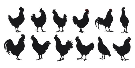 Set of hand drawn hen silhouette animals illustration, farm, rustic, vector