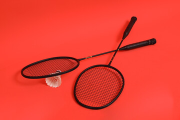 Badminton racket and shuttlecock