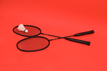 Badminton racket and shuttlecock