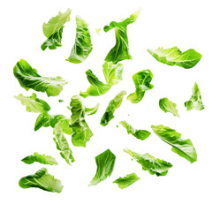 Fresh Green Leafy Vegetables in Mid-Air for Healthy Diet Concept. Perfect for a healthy lifestyle diet concept, food advertisements, or culinary blogs