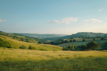 Fototapeta premium A beautiful, open field with a clear blue sky
