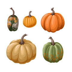 Different pumpkins isolated. Vector.